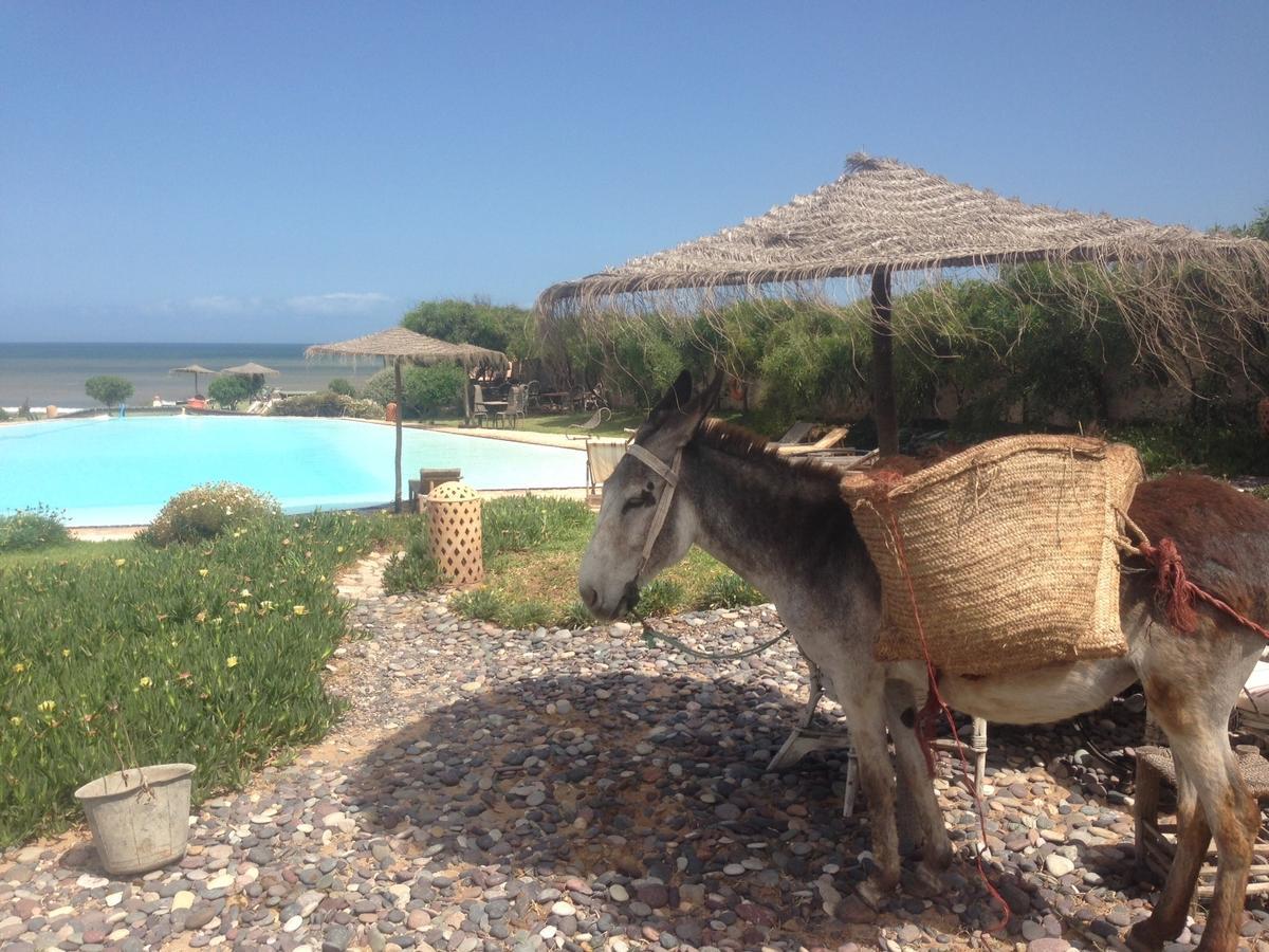 Dar Danse, The Bubble On The Beach Zaouia Akermoud Εξωτερικό φωτογραφία